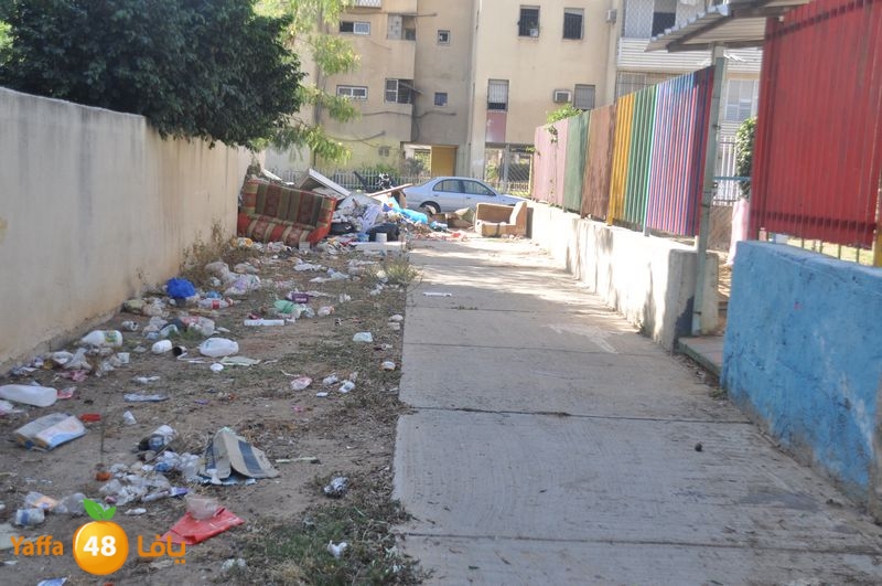rawda narjes s111 (9).JPG